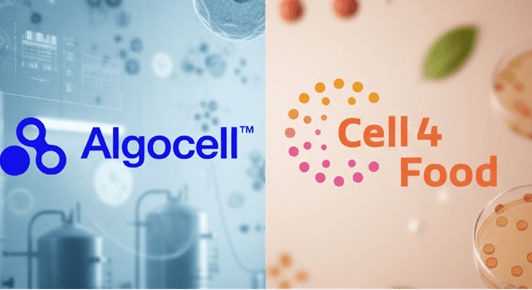 Cell4Food Partners With Algocell to Build Foundation for Scalable Cellular Aquaculture